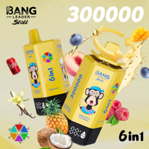 Bang Leader stoll 300K Puffs 6W1