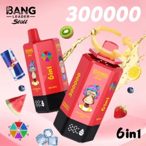 Alternative view of Bang Leader stoll 300K Puffs 6W1