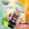 BANG Leader Stoll 100K Puffs 4W1
