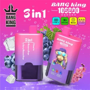 Alternative view of Bang King 100K Puffs 3W1